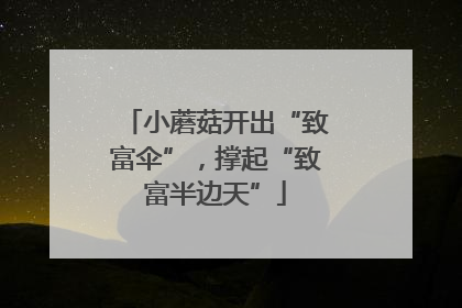 小蘑菇开出“致富伞”，撑起“致富半边天”