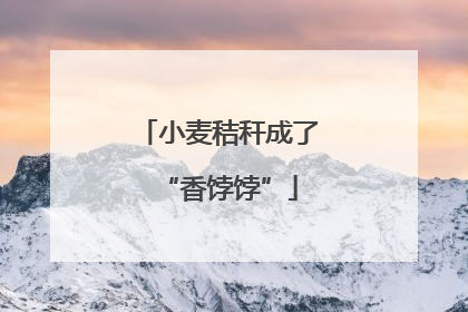 小麦秸秆成了“香饽饽”