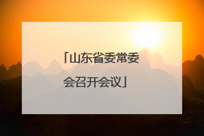 山东省委常委会召开会议