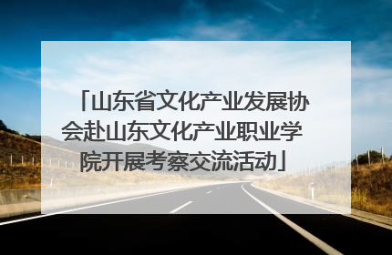 山东省文化产业发展协会赴山东文化产业职业学院开展考察交流活动