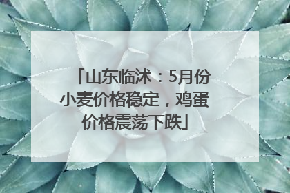 山东临沭：5月份小麦价格稳定，鸡蛋价格震荡下跌