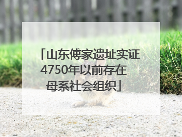 山东傅家遗址实证4750年以前存在母系社会组织