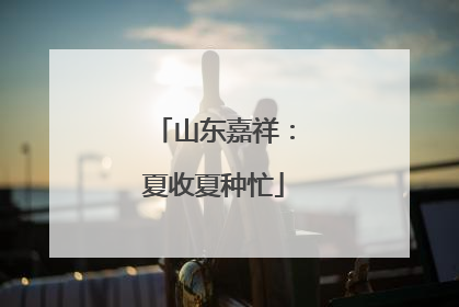 山东嘉祥：夏收夏种忙