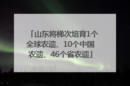山东将梯次培育1个全球农遗、10个中国农遗、46个省农遗