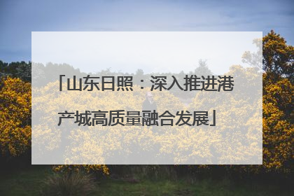 山东日照：深入推进港产城高质量融合发展
