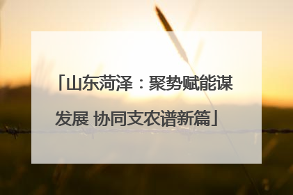 山东菏泽：聚势赋能谋发展 协同支农谱新篇