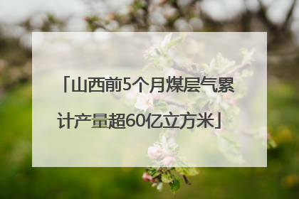 山西前5个月煤层气累计产量超60亿立方米