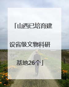 山西已培育建设省级文物科研基地26个