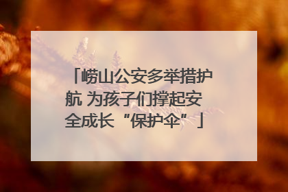 崂山公安多举措护航 为孩子们撑起安全成长“保护伞”