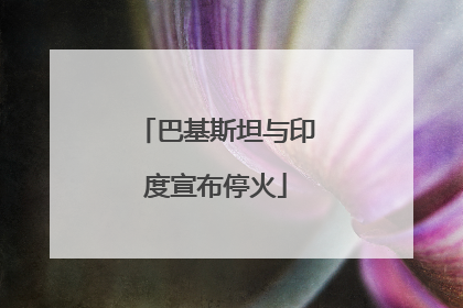 巴基斯坦与印度宣布停火