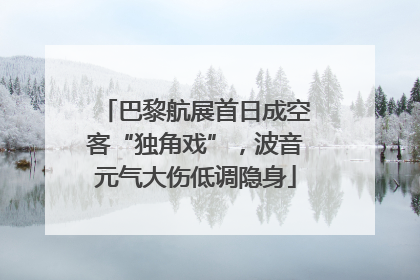 巴黎航展首日成空客“独角戏”，波音元气大伤低调隐身