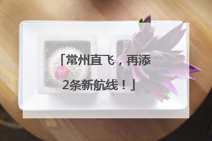 常州直飞，再添2条新航线！