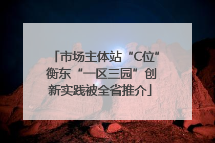 市场主体站“C位” 衡东“一区三园”创新实践被全省推介