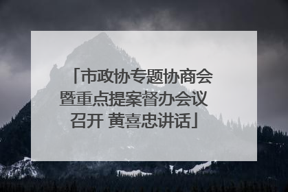 市政协专题协商会暨重点提案督办会议召开 黄喜忠讲话