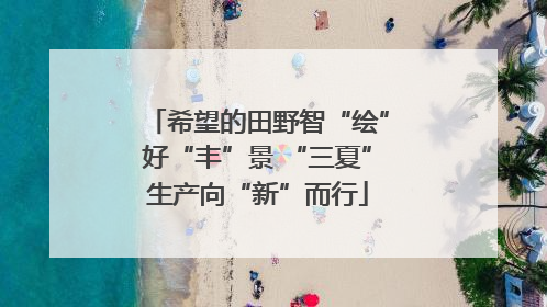 希望的田野智“绘”好“丰”景 “三夏”生产向“新”而行