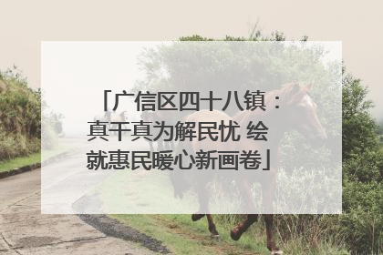 广信区四十八镇：真干真为解民忧 绘就惠民暖心新画卷