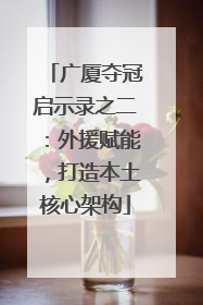广厦夺冠启示录之二：外援赋能，打造本土核心架构
