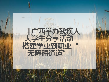 广西举办残疾人大学生分享活动 搭建学业到职业“无障碍通道”