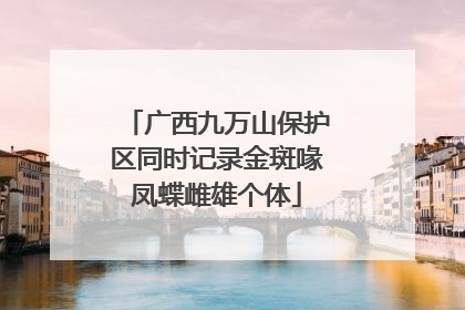 广西九万山保护区同时记录金斑喙凤蝶雌雄个体