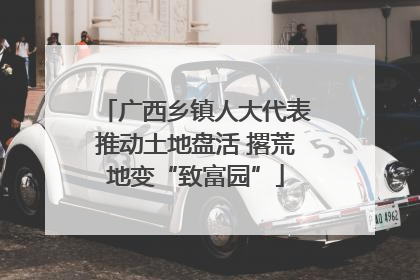 广西乡镇人大代表推动土地盘活 撂荒地变“致富园”
