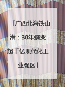 广西北海铁山港：30年蝶变超千亿现代化工业强区