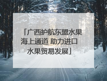 广西护航东盟水果海上通道 助力进口水果贸易发展