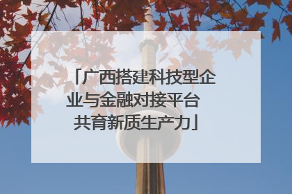 广西搭建科技型企业与金融对接平台 共育新质生产力