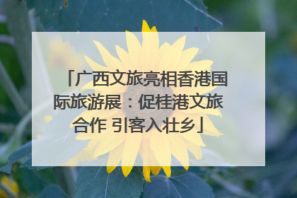 广西文旅亮相香港国际旅游展：促桂港文旅合作 引客入壮乡