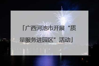 广西河池市开展“质量服务进园区”活动