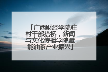 广西财经学院驻村干部搭桥，新闻与文化传播学院赋能油茶产业振兴