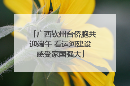 广西钦州台侨胞共迎端午 看运河建设感受家国强大