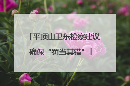 平顶山卫东检察建议确保“罚当其错”