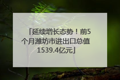 延续增长态势！前5个月潍坊市进出口总值1539.4亿元