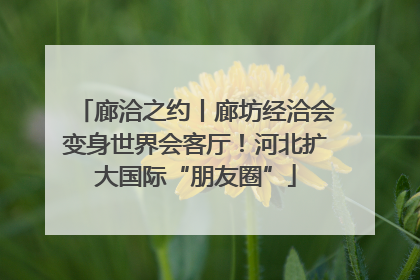 廊洽之约丨廊坊经洽会变身世界会客厅！河北扩大国际“朋友圈”