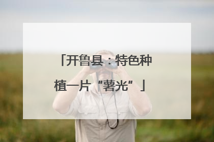 开鲁县：特色种植一片“薯光”