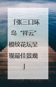 张三口环岛“祥云”模纹花坛呈现最佳景观