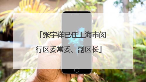 张宇祥已任上海市闵行区委常委、副区长