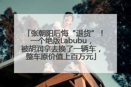张朝阳后悔“退货”！一个绝版Labubu，被胡润拿去换了一辆车，整车原价值上百万元