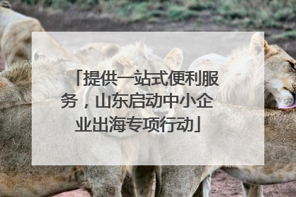 提供一站式便利服务，山东启动中小企业出海专项行动