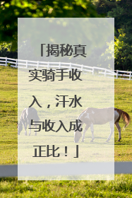 揭秘真实骑手收入，汗水与收入成正比！