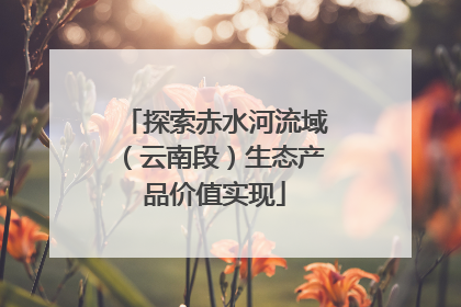 探索赤水河流域（云南段）生态产品价值实现