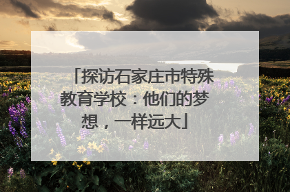 探访石家庄市特殊教育学校：他们的梦想，一样远大