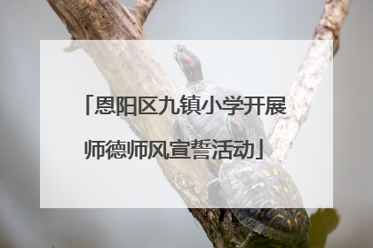 恩阳区九镇小学开展师德师风宣誓活动