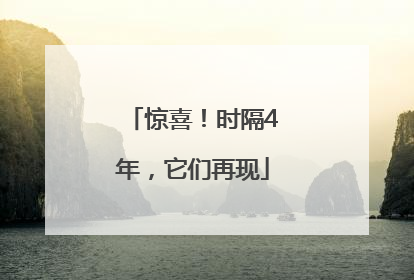 惊喜！时隔4年，它们再现