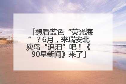 想看蓝色“荧光海”？6月，来瑞安北麂岛“追泪”吧！《90早新闻》来了