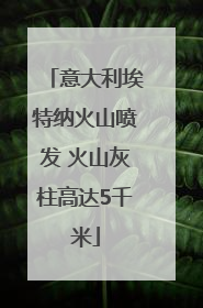 意大利埃特纳火山喷发 火山灰柱高达5千米