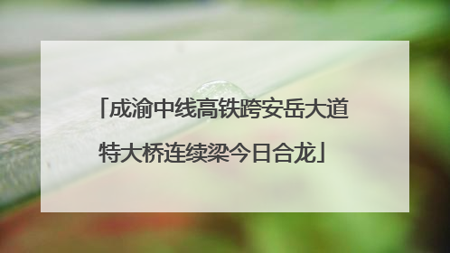 成渝中线高铁跨安岳大道特大桥连续梁今日合龙
