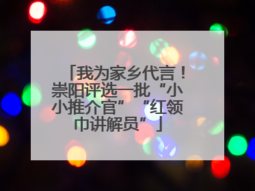 我为家乡代言！崇阳评选一批“小小推介官”“红领巾讲解员”
