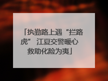 执勤路上遇“拦路虎” 江夏交警暖心救助化险为夷