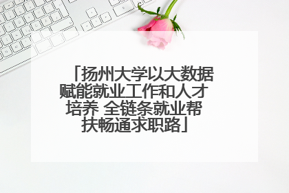 扬州大学以大数据赋能就业工作和人才培养 全链条就业帮扶畅通求职路